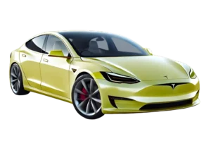 Full Vehicle PPF