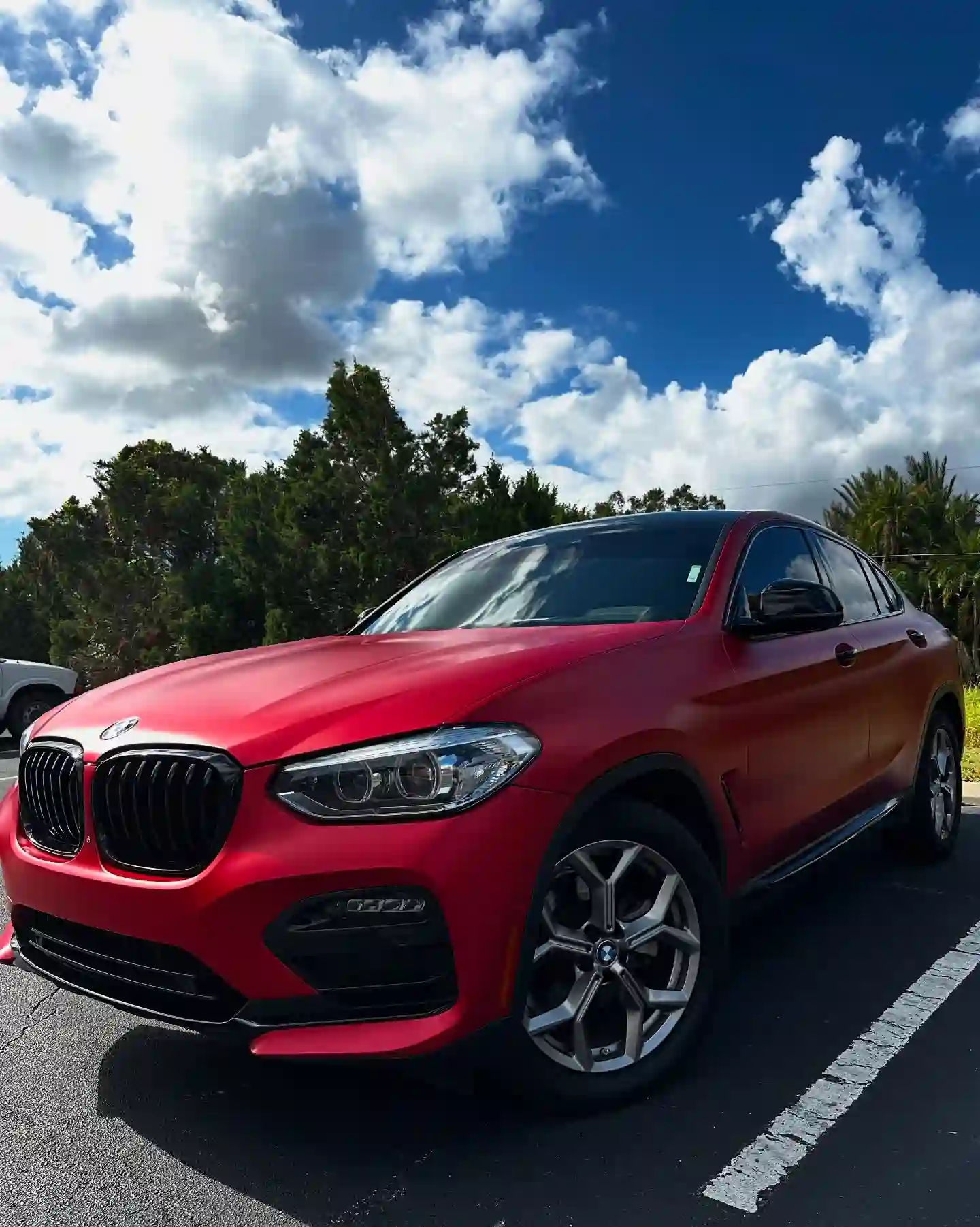 BMW protection and styling services near Tampa, FL