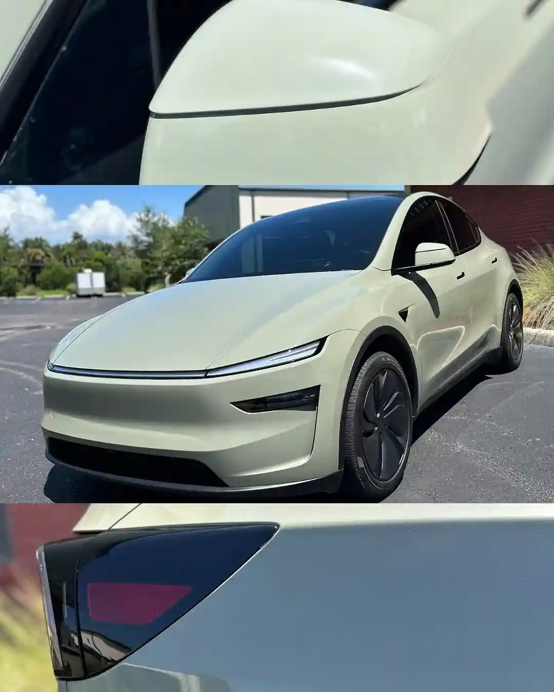 Professional vehicle wrap installation in Tampa, FL