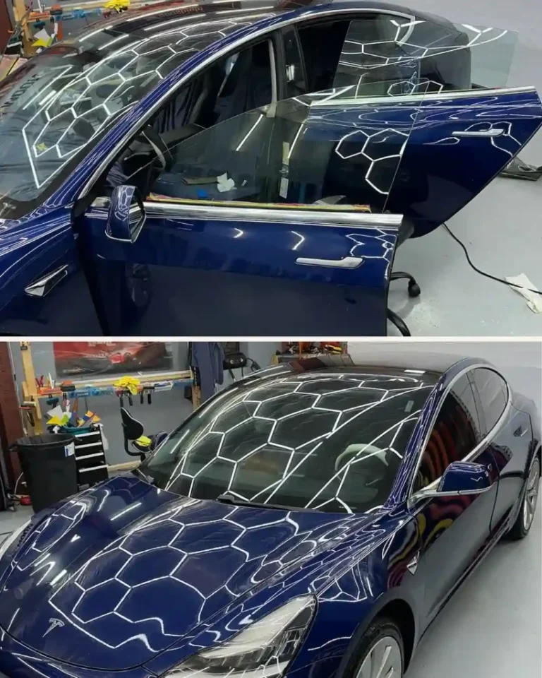 Vehicle protection installation process in Citrus Park, FL
